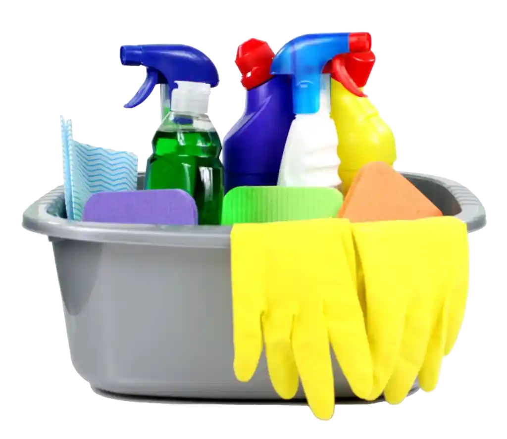 cleaning brushes, gloves and sprays